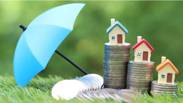 【海外保険紹介】My Lifetime Annuity